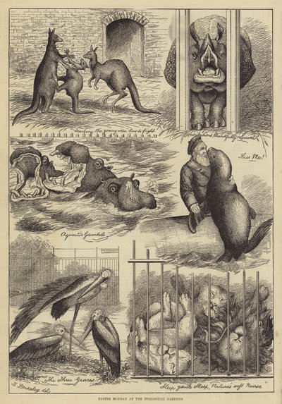 Lundi de Pâques au Jardin zoologique - Stanley Berkeley